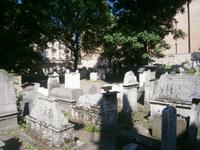 Auf dem jüdischen Friedhof von Kazimierz
