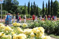 Rosengarten Rozanka in Stettin