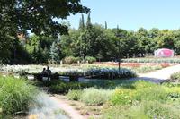 Rosengarten Rozanka in Stettin