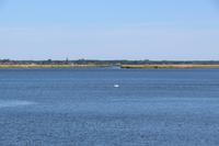 Katamaran-Bootsfahrt im Delta der Swine - Insel Karsibor