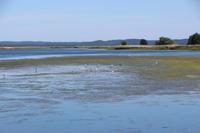 Katamaran-Bootsfahrt im Delta der Swine - Insel Karsibor