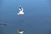 Katamaran-Bootsfahrt im Delta der Swine - Insel Karsibor