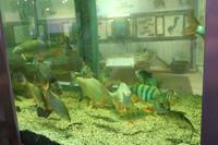 Im Nationalparkzentrum Unteres Odertal in Criewen