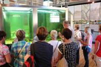 Im Nationalparkzentrum Unteres Odertal in Criewen