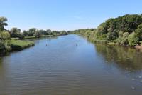 Spaziergang in die Oderauen im Nationalpark Unteres Odertal