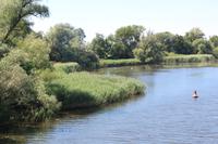 Spaziergang in die Oderauen im Nationalpark Unteres Odertal