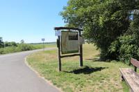 Spaziergang in die Oderauen im Nationalpark Unteres Odertal