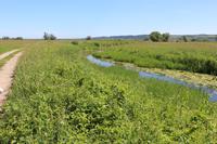 Spaziergang in die Oderauen im Nationalpark Unteres Odertal