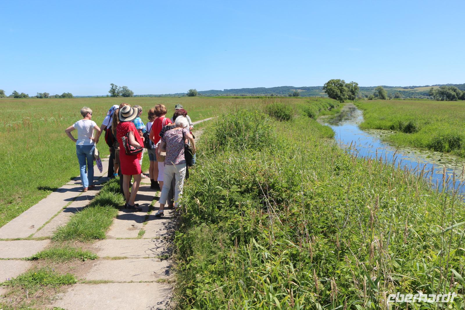 Spaziergang in die Oderauen im Nationalpark Unteres Odertal