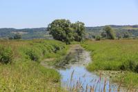 Spaziergang in die Oderauen im Nationalpark Unteres Odertal