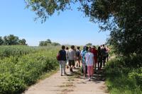 Spaziergang in die Oderauen im Nationalpark Unteres Odertal