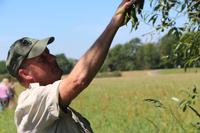 Spaziergang in die Oderauen im Nationalpark Unteres Odertal