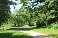 Lenné Schlosspark in Criewen