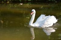 Stakenbootfahrt Masuren - Krutynia