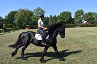 Reiterhof Michalski in Budzistowo