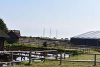 Reiterhof Michalski in Budzistowo