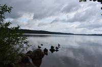 Stare Drawsko - Zerdno See