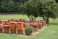 Bienenkästen