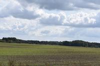 Landschaft Polen