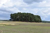 Landschaft Pommern