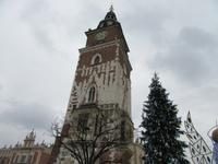 Stadtrundgang - Rathausturm