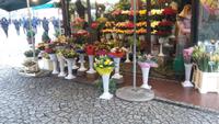 Blumenmarkt