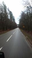 Morgendliche Fahrt durch die Polnischen Wälder