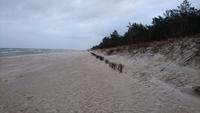 Sand, Wasser, Dünen am Strand der Polnischen Ostsee
