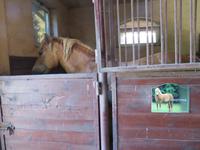 Der Name ist Programm