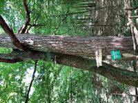 Südliches Masuren (3)