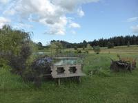 Auf dem Bauernhof (2)