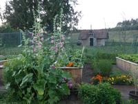 Auf dem Bauernhof (11)