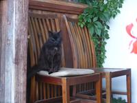 Auf dem Bauernhof (13)