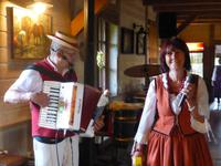Bei der Bauernhochzeit - Folklore