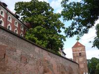Torun (9)