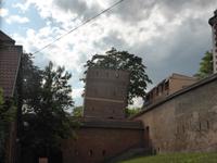 Torun (10)