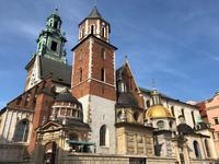 Kathedrale auf dem Wawel
