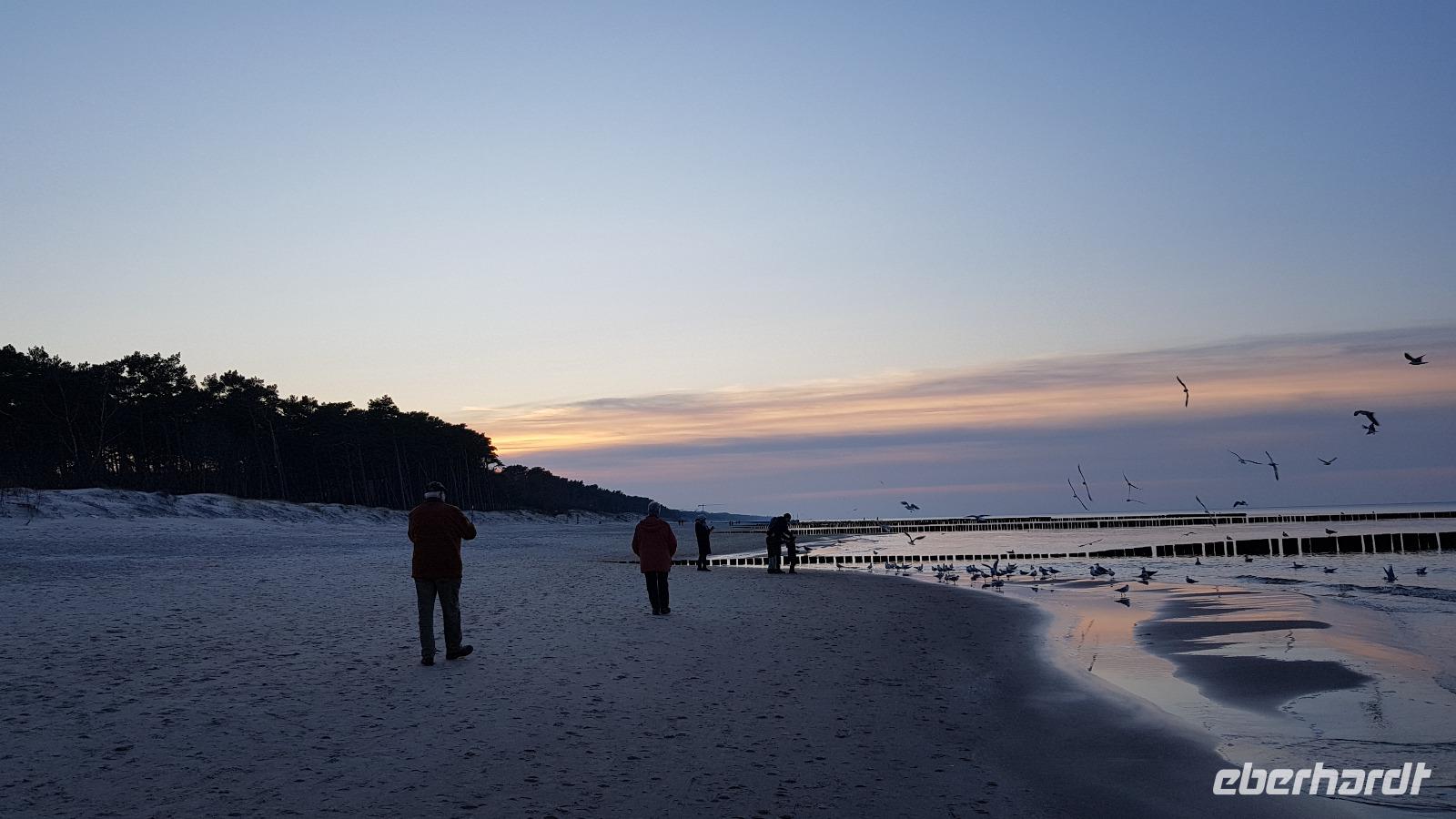 der Strand von Dzwirzyno