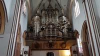 Kamien Pomorski- die zweitgrößte Orgel Polens