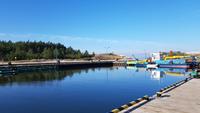 Dzwirzyno, Hafen