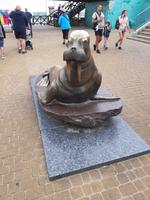 Seelöwendenkmal in Mielno