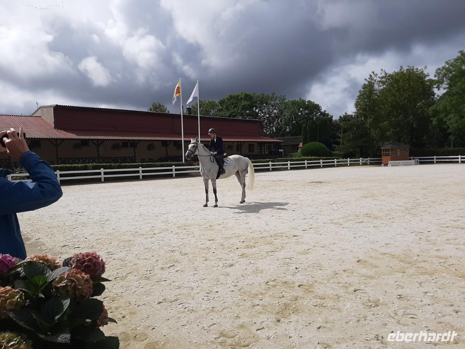Dressuraufführung auf dem Gestüt Michalski
