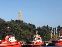 Blick auf Westernplatte