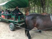 Eulalia fährt uns selbst