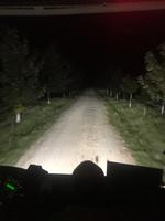 Nunmehr es leider wieder heim