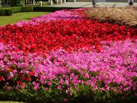 Breslau: Rundfahrt/Rundgang: Anlagen an der Jahrhunderthalle &ndash; &copy; Inge Bily (Eberhardt TRAVEL)