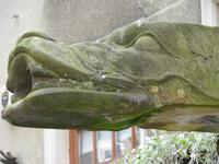 Danzig: Rundgang: Wasserspeier &ndash; &copy; Inge Bily (Eberhardt TRAVEL)