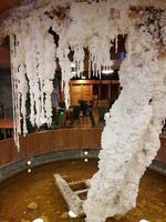 sehr bizarr die Salzkristalle