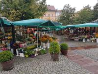am Blumenmarkt