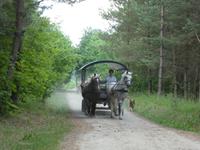 Bauernhochzeit bei Eulalia